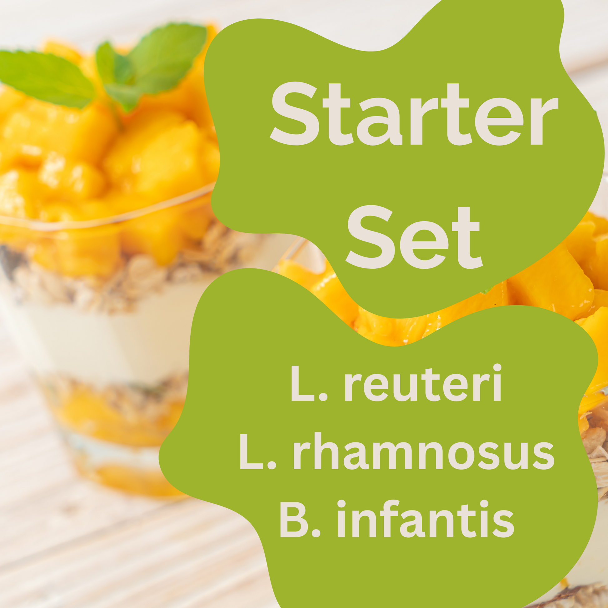 ชุดเริ่มต้นสำหรับทำโยเกิร์ต L. reuteri, L. rhamnosus, B. infantis