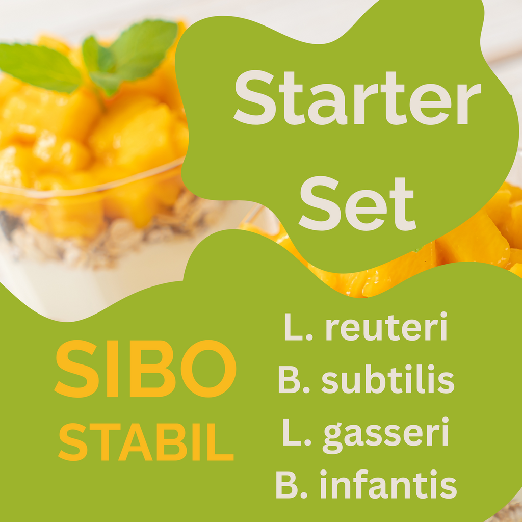 ชุดเริ่มต้น „SIBO Stabil" | L. reuteri, B. subtilis, L. gasseri, B. infantis-โยเกิร์ต